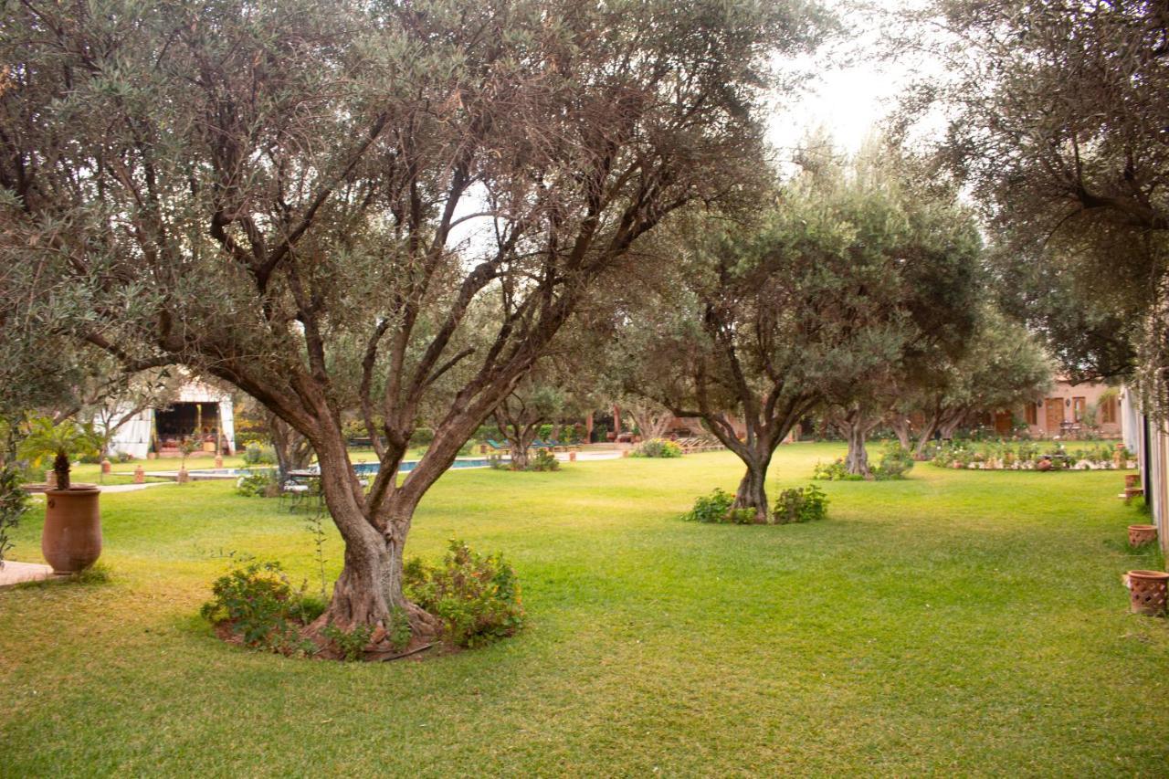 Greenlife Marrakech Marrakesh Bagian luar foto